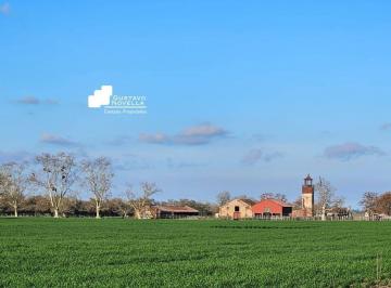 GNP-GNP-943_2 · Estancia en Venta 125has Chascomus