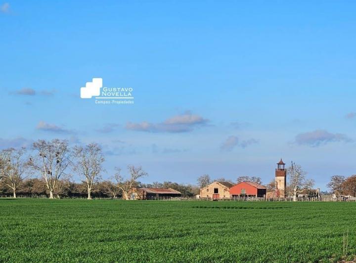 Campo · 125m²