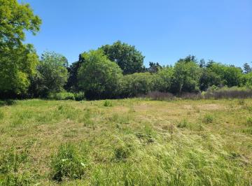 Terreno · 6219m² · Terreno en Venta, de 6.219 m², en Barrio Albizola, Otamendi, Campana, Gba Norte