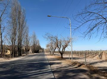 Campo · 43000m² · Finca de 4.3 Has Apta Para Loteo en Coquimbito