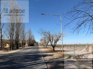 Campo · 43000ha · Finca de 4.3 Has Apta Para Loteo en Coquimbito