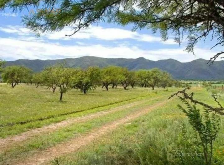 Terreno · 640m²