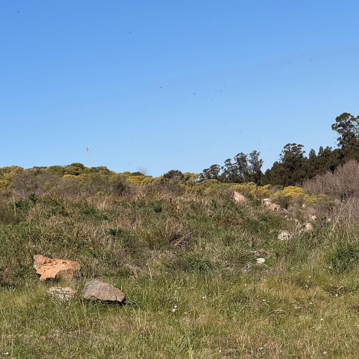 Lote de 1.800 m2 en Aires de Tandil con acceso al Valle de Tandil Golf Club