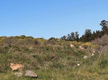 Terreno , Tandil · Lote Terreno en Venta Altos Aires de Tandil Country