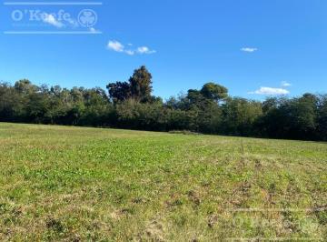 Campo · 40000m² · Chacra en Venta de 4 Has en Abasto - Partido de La Plata!