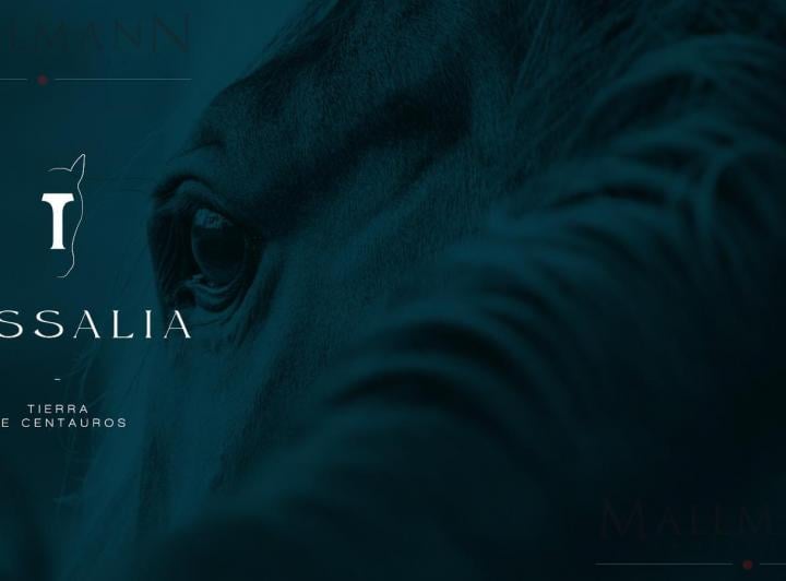 Desarrollo horizontal · Tessalia - Tierra de Centauros | Mallmann Propiedades