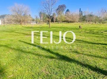 RFP-RFP-1633_2 · Casa 3 Ambientes. | 1556 Al 1500
