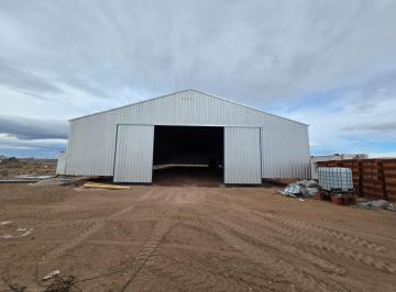 Bodega-Galpón · 1000m² · 1 Ambiente · Alquiler Galpon Industrial 1000 m², Cutral Co