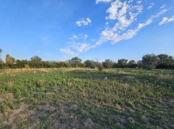 Terreno , Luján de Cuyo · Terrenos en Venta Vistalba