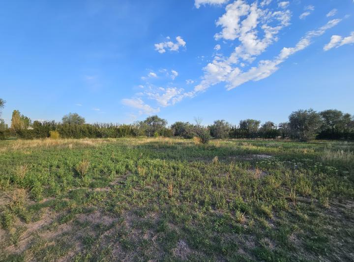 Terreno · 2000m²