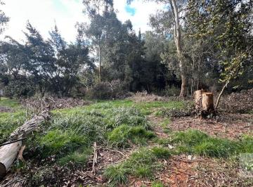 Terreno , Chascomús · Lote de Terreno, 2800 m². Ayacucho 999 E/balcarce y Bahía Blanca. Chascomús