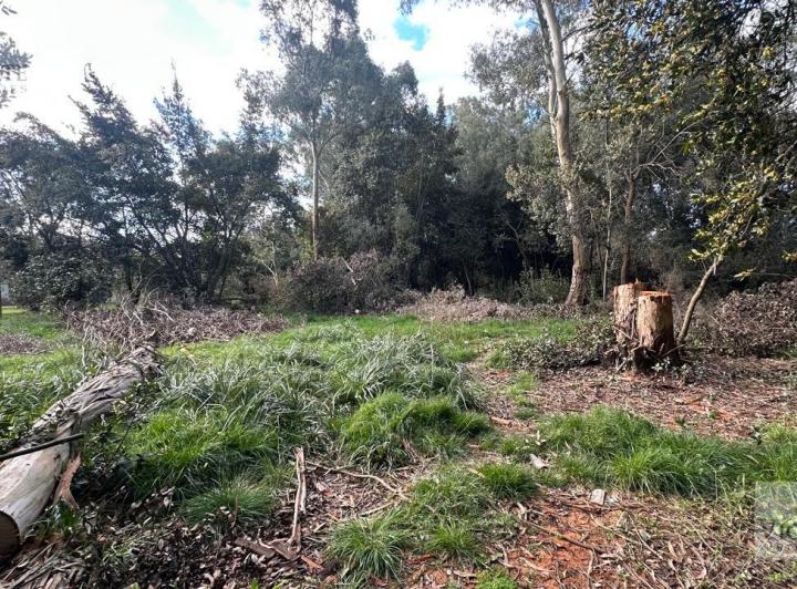 Terreno · 2800m²