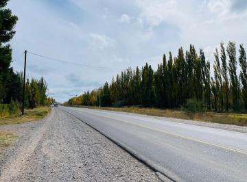 Campo · 51000m² · Chacra de 5 Ha con Frente a Ruta 151 Zona 4 Esquinas Cipolletti Rio Negro