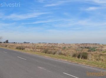 Campo · 155ha · Ruta 54 (Acceso a Oliden) Campo en de 155 Hectáreas en Venta
