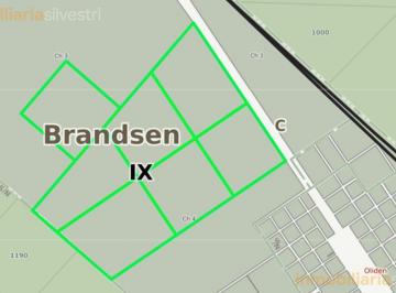 Campo · 100ha · Ruta 54 (Acceso a Oliden) Campo en de 155 Hectáreas en Venta