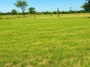 KNK-KNK-5042_2 · Oportunidad Venta Impotente Campo de 6 Ha Escucha Oferta
