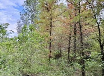 Campo · 23878m² · Campo en Venta en Arroyo Leyes