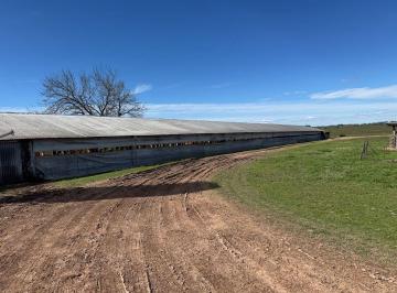 Campo · 10000m² · 2 Dormitorios · 1 Cochera · Vendo Granja Avicola en Concepción del Uruguay, Entre Ríos.