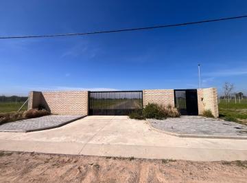 Terreno · 310m² · 501 y 161