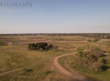 Terreno · 1121m² · Venta Lotes en Pilara Barrio Tilbury
