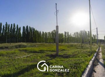 Terreno · 352m² · Venta Lote - Loteo La Consuelo - Centenario Neuquén