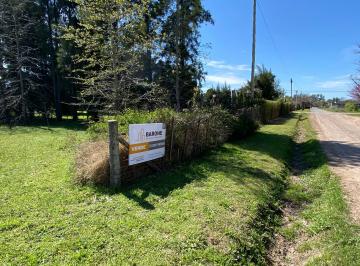 Terreno , Navarro · 2 Terrenos en Venta Navarro