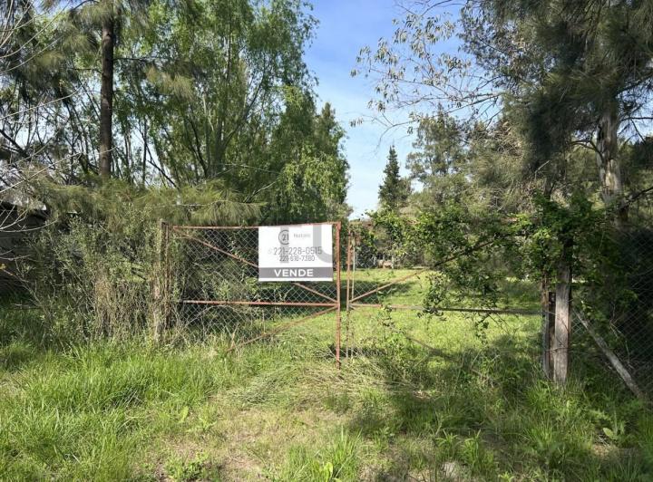 Terreno · 1000m²