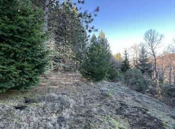 Campo , San Martín de los Andes · Campo 32,5 Ha · a 10 Km del Centro de Sma · Anteproyecto Inmobiliario