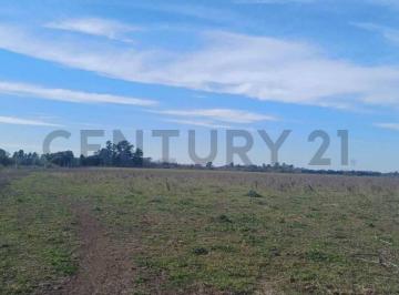 Campo · 210000m² · Campo de 21 Hectáreas Luján, Camino a Etchegoyen
