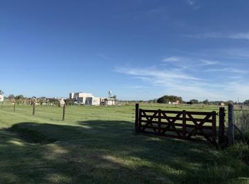 Terreno · 1000m² · Vendo Lote E Agote
