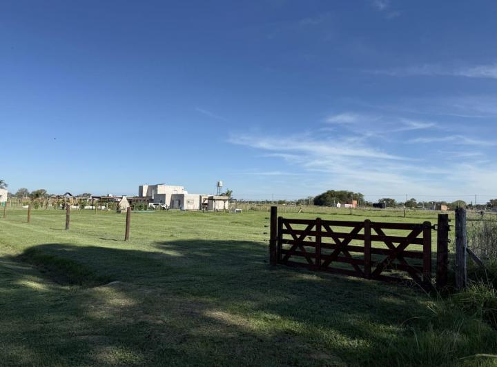 Terreno · 1000m²