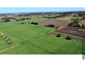 Campo · 750000m² · Campo 75 Has en Batan Sobre Ruta