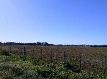 Campo · 700000m² · Campo en Balneario Mar Chiquita