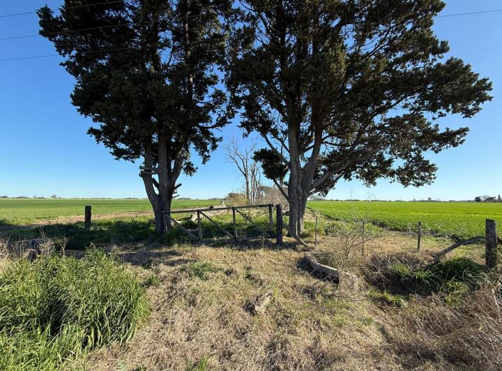 Campo · 17000m²