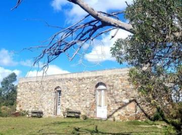 Foto1 · Campo 9 Has con Casa y Plantación de Olivos