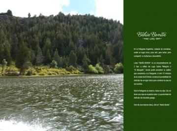 Terreno , Cholila · 2 Ha con Costa de Lago Pelegrini + Proyecto de Loteo - Cholila, Chubut