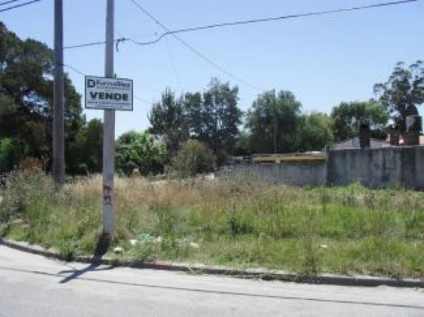 Lote en esquina en Av Luro y 248