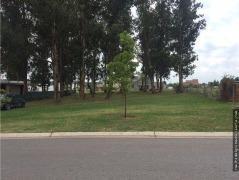 Lote 65 de Arenas del Sur. 928 m2 totales.