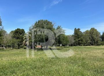 Terreno · 6000m² · Venta Terreno en Carlos Spegazzini, Ezeiza