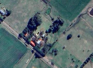 Campo · 200m² · 8 Ambientes · Chacra en Colonia