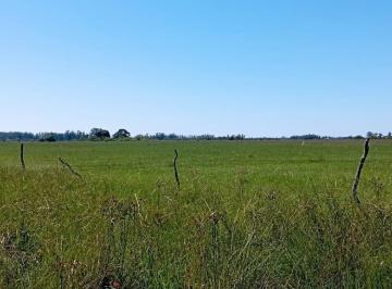 Terreno · 500000m² · Campo a La Venta en Bella Vista, Corrientes.