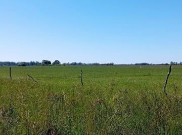 Campo · 500000m² · Campo a La Venta en Bella Vista, Corrientes.
