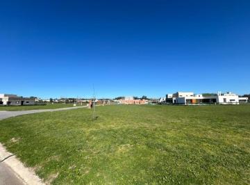 Imagen1 · Venta Terreno en Arenas Chico