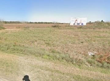 Campo · 180000m² · Campo en Venta - Alvear - Sobre Autopista