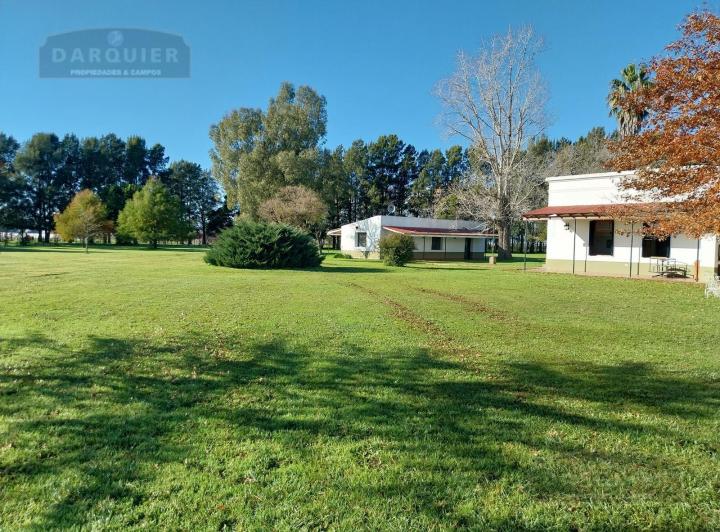 Campo · 575ha
