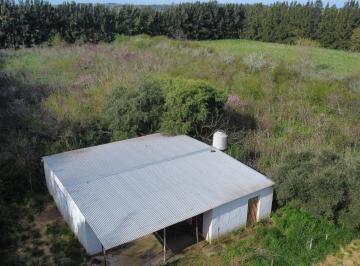 Quinta vacacional de 3 ambientes, General Belgrano · Casaquinta 78 m² Sobre 1,2 Ha Calle 178 General Belgrano, Prov. Bs. As.
