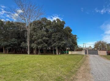 Terreno · 862m² · Terreno en Venta en Calle 409 E/ 21 y 22 - Villa Elisa