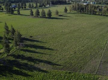 Terreno , Brandsen · Fraccion de 15.000 m², Estancia Malvinas, Coronel Brandsen, Buenos Aires.