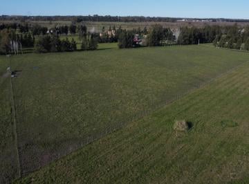 Terreno , Brandsen · Fraccion de 25.000 m², Estancia Malvinas, Coronel Brandsen, Buenos Aires.
