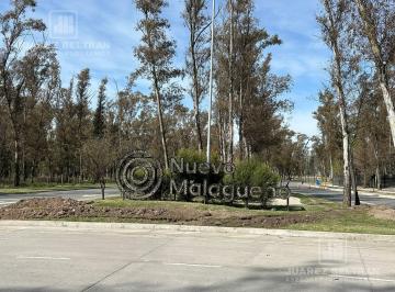 Terreno · 380m² · Nuevo Malagueño Lote a La Venta